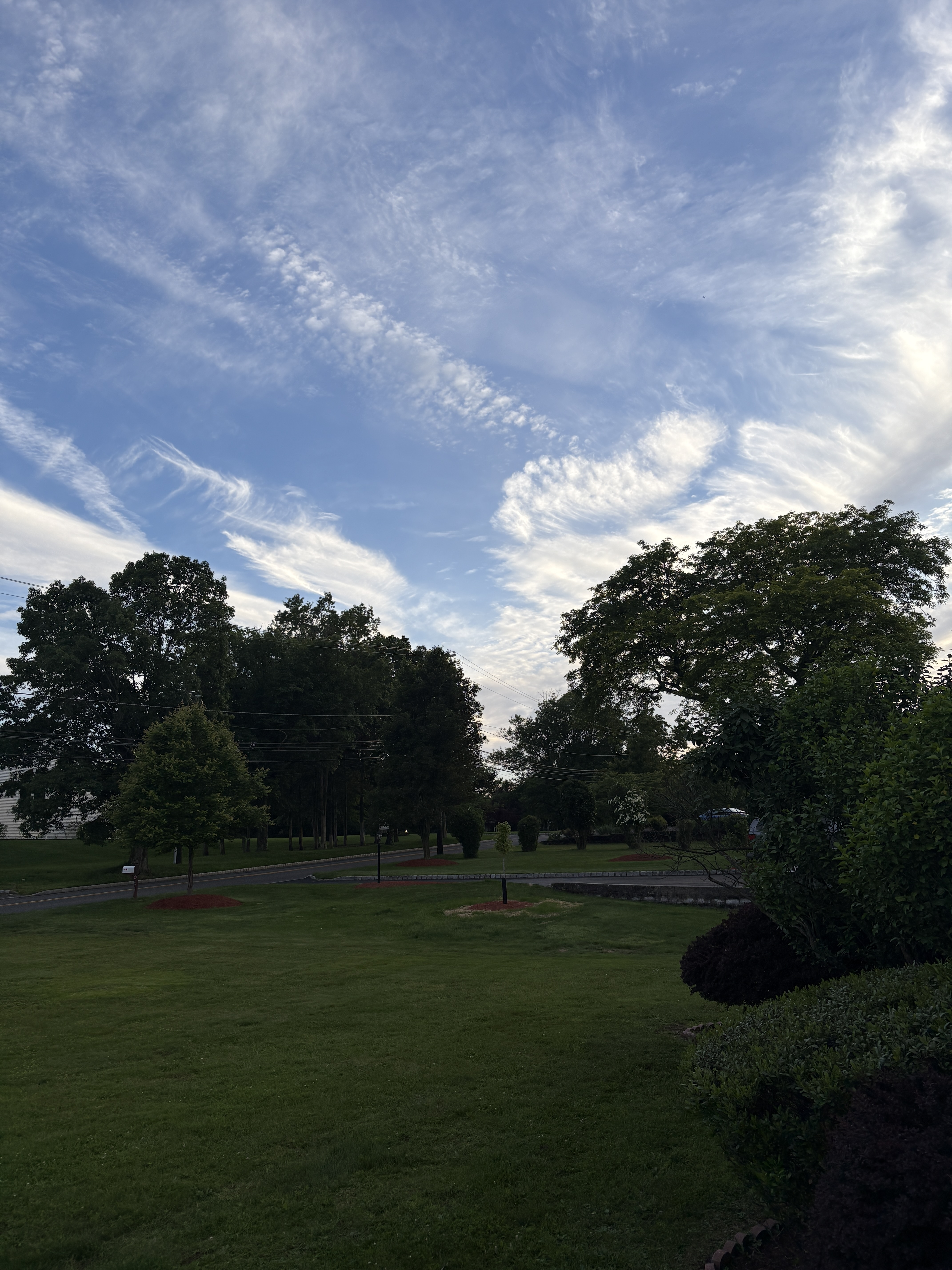 Image 5916